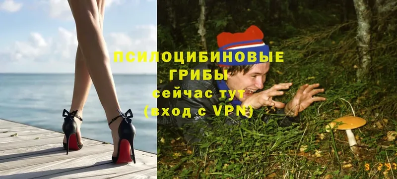 OMG   Новоульяновск  Галлюциногенные грибы мухоморы  закладки 